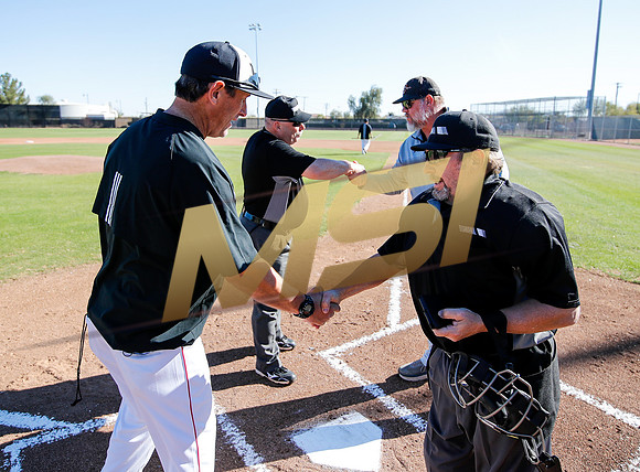 AIA Boys Varsity Baseball