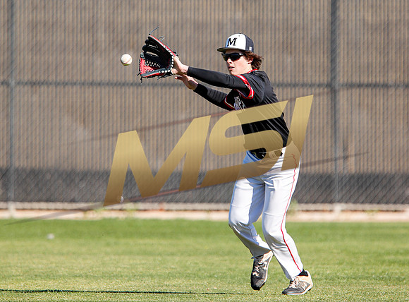 AIA Boys Varsity Baseball