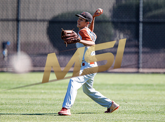 AIA Boys Varsity Baseball