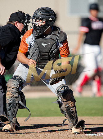 AIA Boys Varsity Baseball