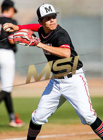 AIA Boys Varsity Baseball