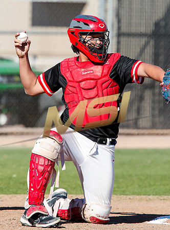 AIA Boys Varsity Baseball