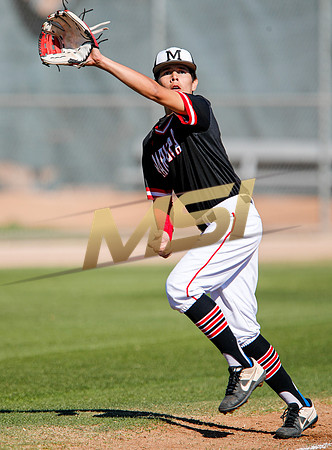 AIA Boys Varsity Baseball