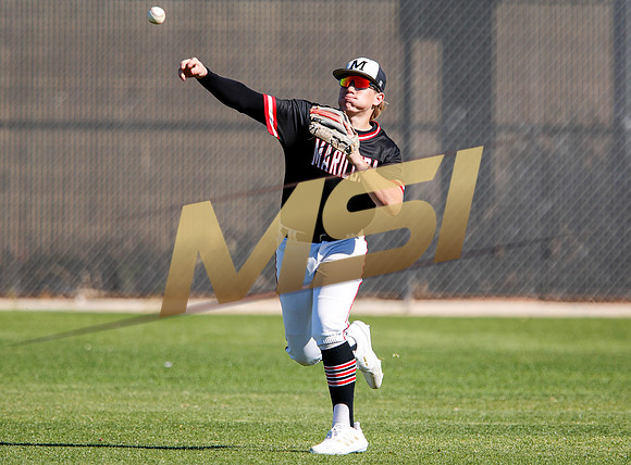 AIA Boys Varsity Baseball