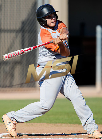 AIA Boys Varsity Baseball