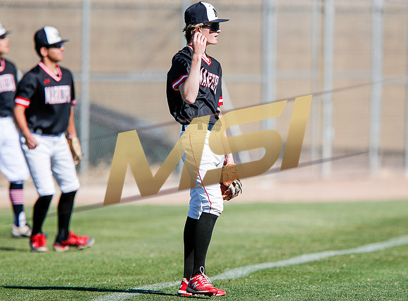 AIA Boys Varsity Baseball