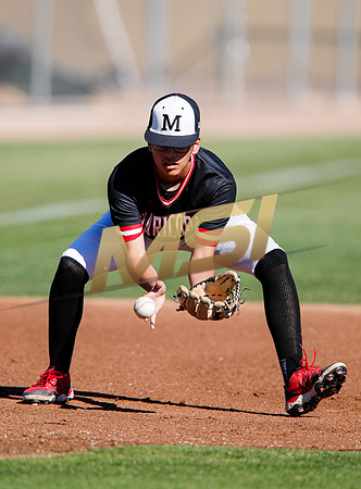 AIA Boys Varsity Baseball
