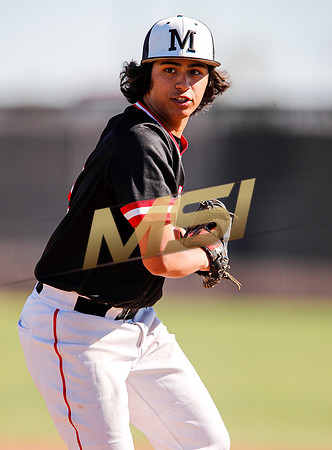 AIA Boys Varsity Baseball