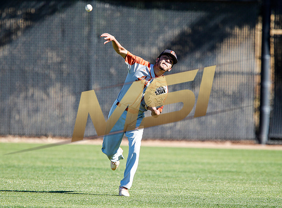 AIA Boys Varsity Baseball