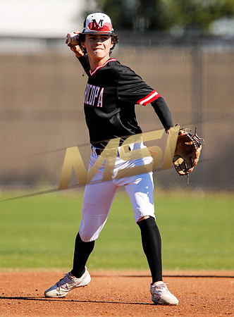 AIA Boys Varsity Baseball