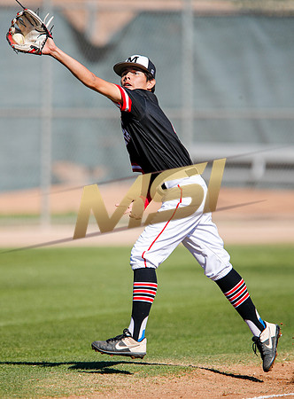 AIA Boys Varsity Baseball