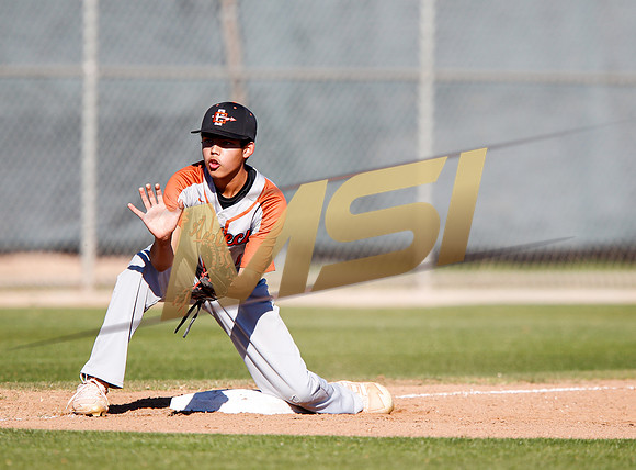 AIA Boys Varsity Baseball