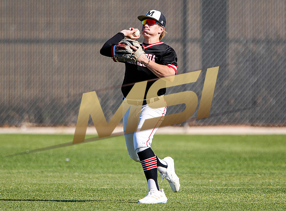 AIA Boys Varsity Baseball