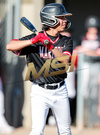 AIA Boys Varsity Baseball