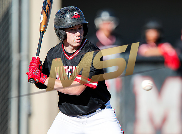 AIA Boys Varsity Baseball