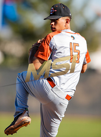 AIA Boys Varsity Baseball