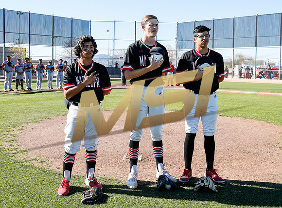 AIA Boys Varsity Baseball