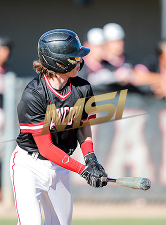 AIA Boys Varsity Baseball
