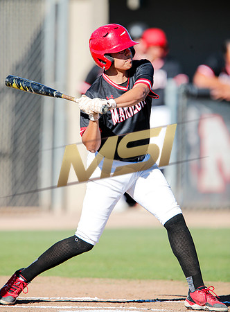 AIA Boys Varsity Baseball