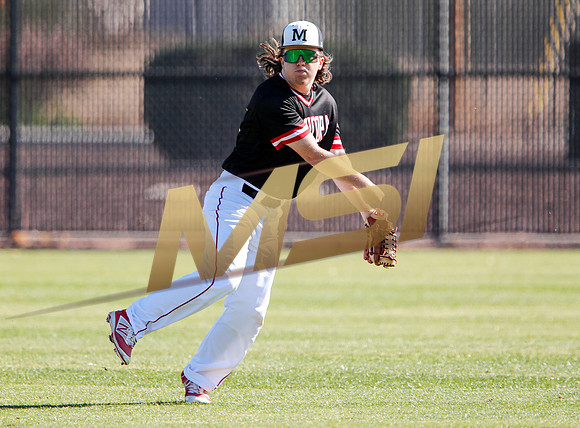 AIA Boys Varsity Baseball
