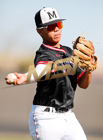 AIA Boys Varsity Baseball