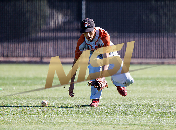 AIA Boys Varsity Baseball