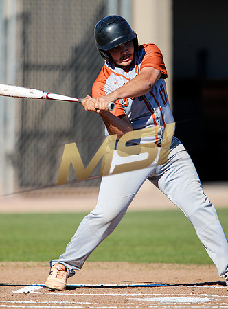 AIA Boys Varsity Baseball