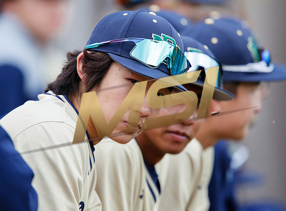 CIF Varsity Boys Baseball - Del Norte vs Cathedral Catholic