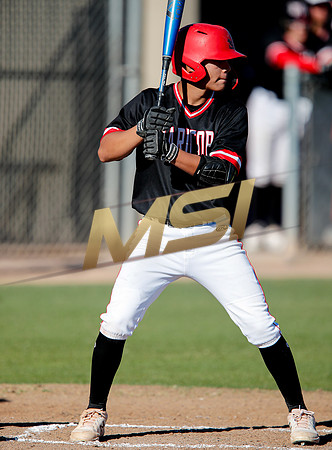AIA Boys Varsity Baseball