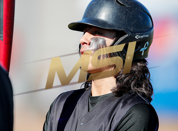 AIA Boys Varsity Baseball