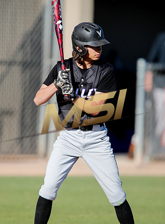 AIA Boys Varsity Baseball