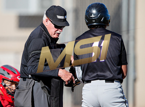 AIA Boys Varsity Baseball