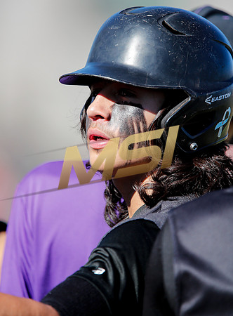 AIA Boys Varsity Baseball