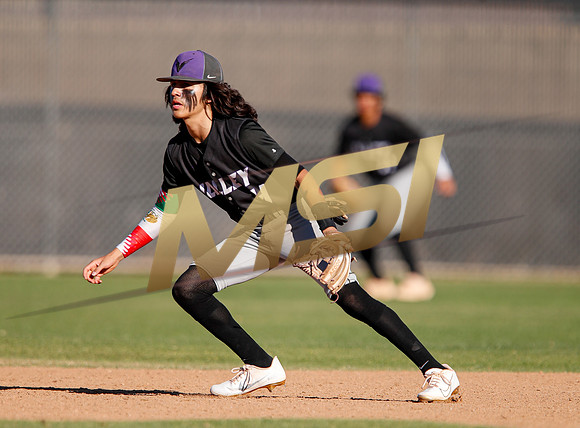 AIA Boys Varsity Baseball