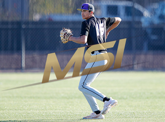 AIA Boys Varsity Baseball