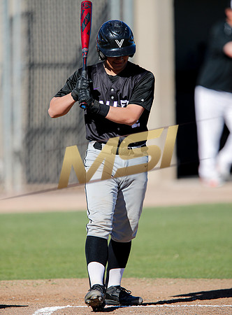 AIA Boys Varsity Baseball