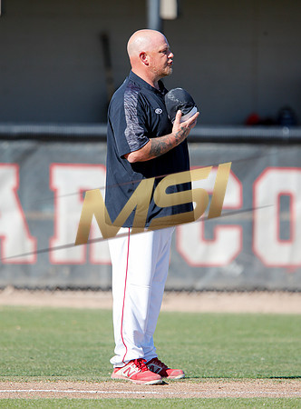 AIA Boys Varsity Baseball