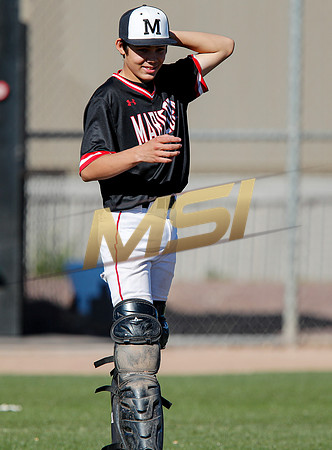 AIA Boys Varsity Baseball