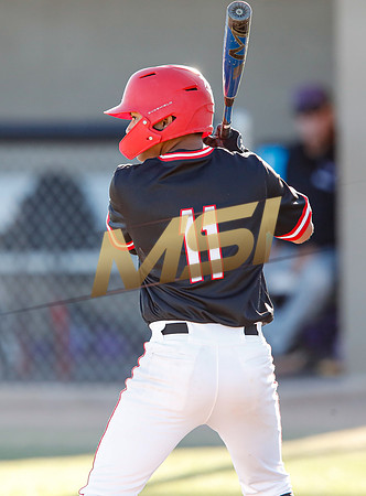AIA Boys Varsity Baseball