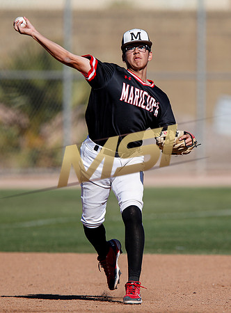 AIA Boys Varsity Baseball