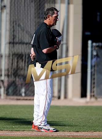 AIA Boys Varsity Baseball