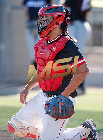 AIA Boys Varsity Baseball