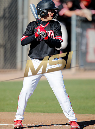 AIA Boys Varsity Baseball