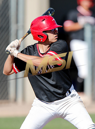 AIA Boys Varsity Baseball