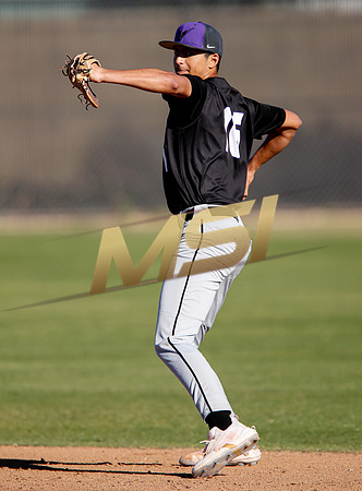 AIA Boys Varsity Baseball