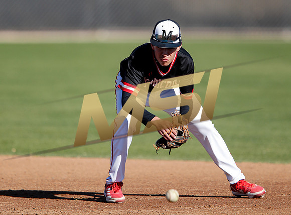 AIA Boys Varsity Baseball