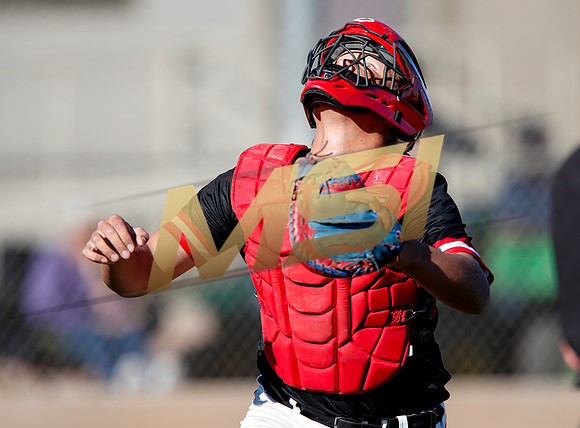 AIA Boys Varsity Baseball
