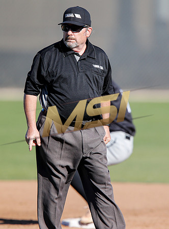 AIA Boys Varsity Baseball