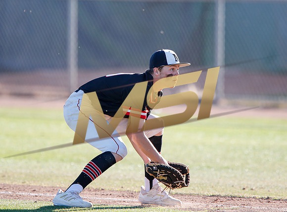 AIA Boys Varsity Baseball