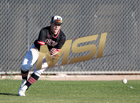 AIA Boys Varsity Baseball